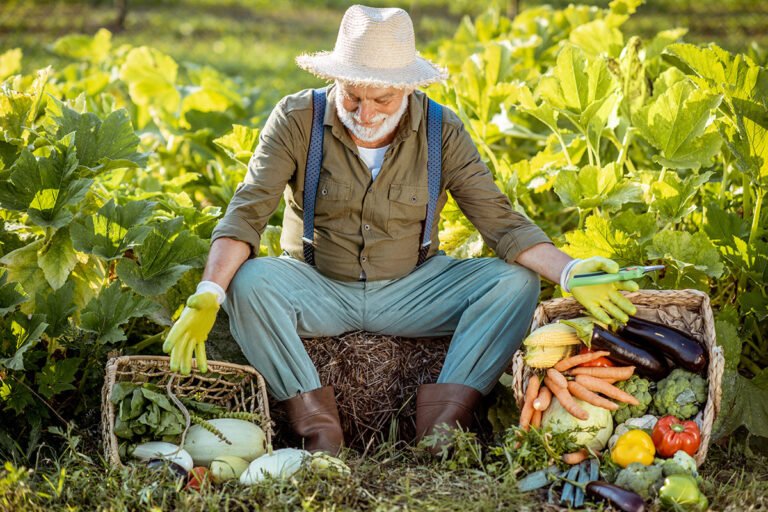 🌾 Organic Farming: The Future of Healthy Agriculture in India